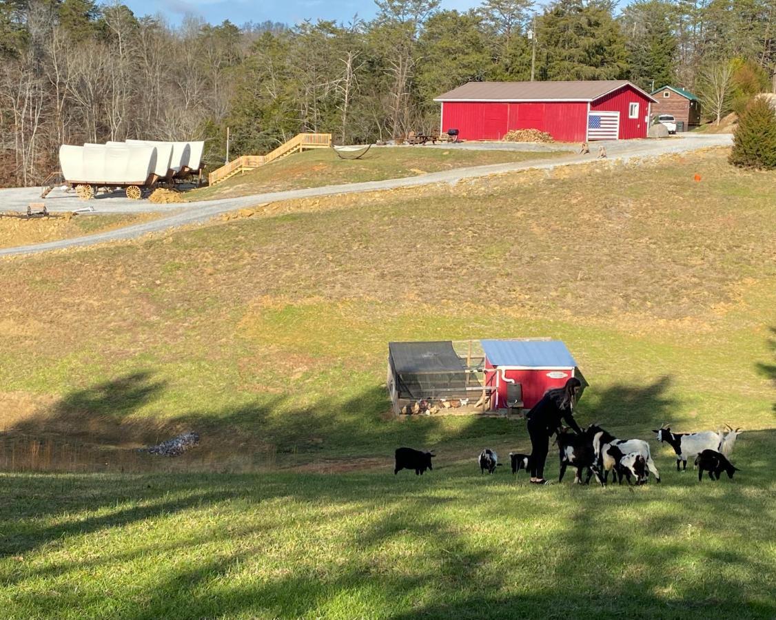 Smoky Hollow Outdoor Resort Covered Wagon Sevierville Exteriör bild
