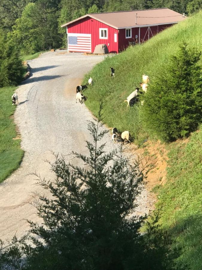 Smoky Hollow Outdoor Resort Covered Wagon Sevierville Exteriör bild